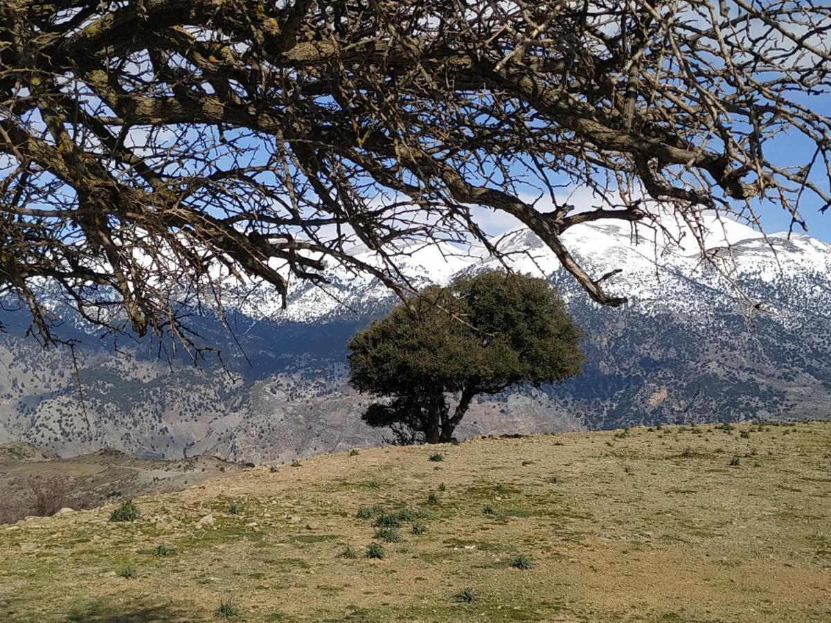 Il Silenzio Villa Magarikari Bagian luar foto