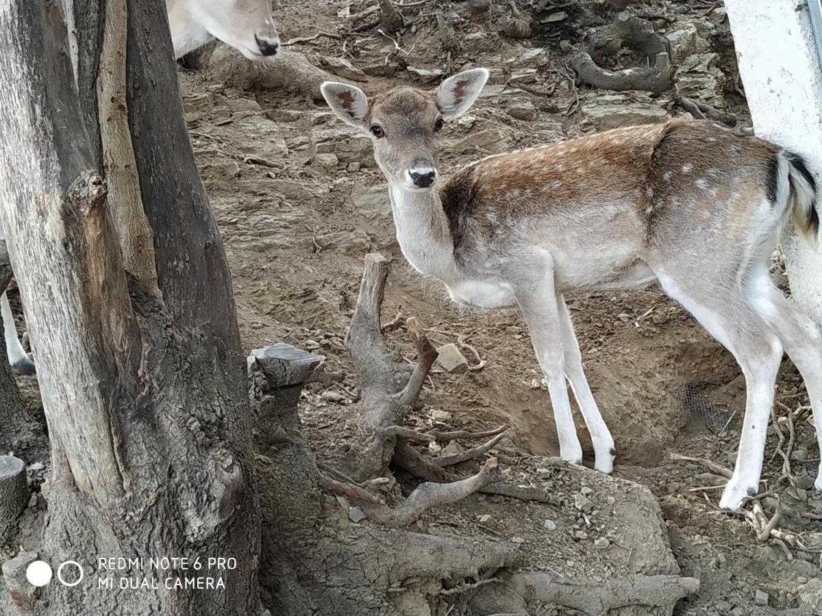 Il Silenzio Villa Magarikari Bagian luar foto