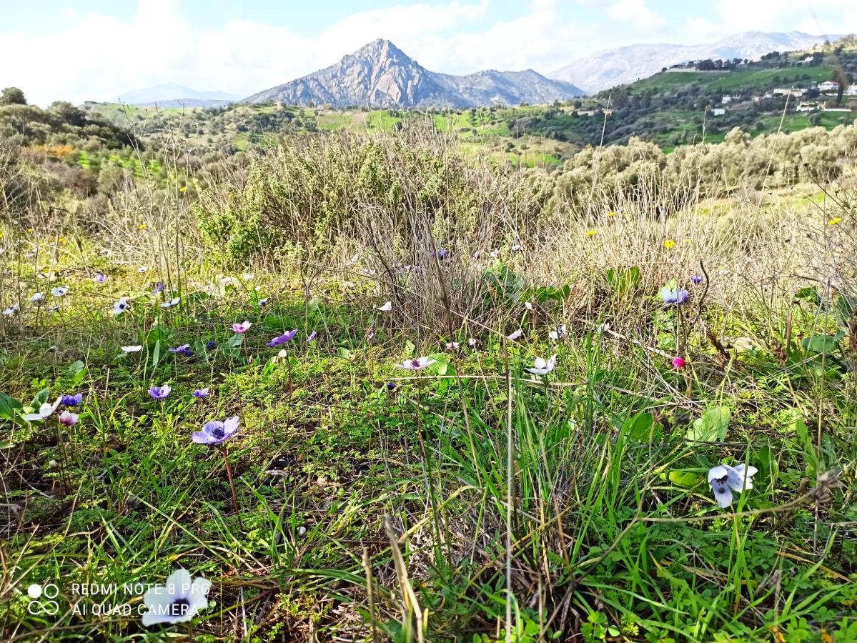 Il Silenzio Villa Magarikari Bagian luar foto